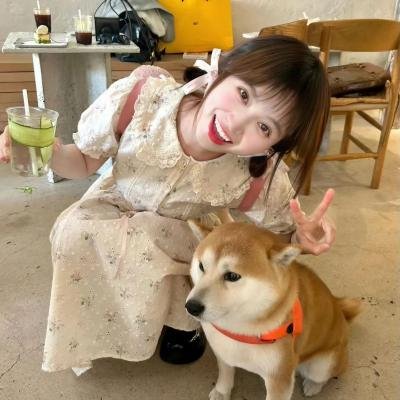灵契第一季